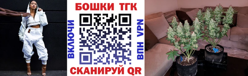 купить наркотики цена  Фролово  Конопля THC 21% 